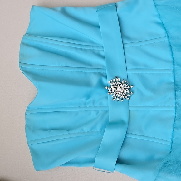 Blue Sweetheart Bodice and Tulle Gown - Picture 6 of 6